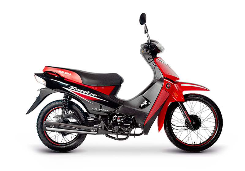 Modelo YBR125-ED